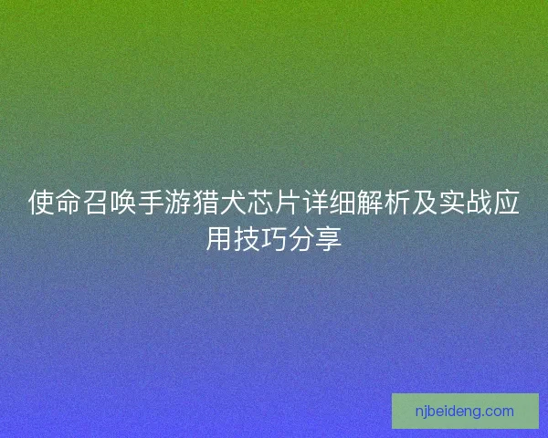 使命召唤手游猎犬芯片详细解析及实战应用技巧分享 使命召唤手游猎犬芯片详细解析及实战应用技巧分享