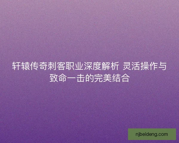 轩辕传奇刺客职业深度解析 灵活操作与致命一击的完美结合