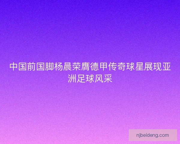 中国前国脚杨晨荣膺德甲传奇球星展现亚洲足球风采