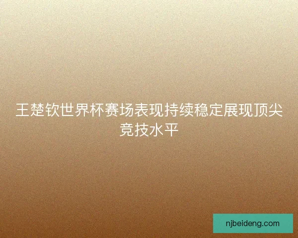 王楚钦世界杯赛场表现持续稳定展现顶尖竞技水平